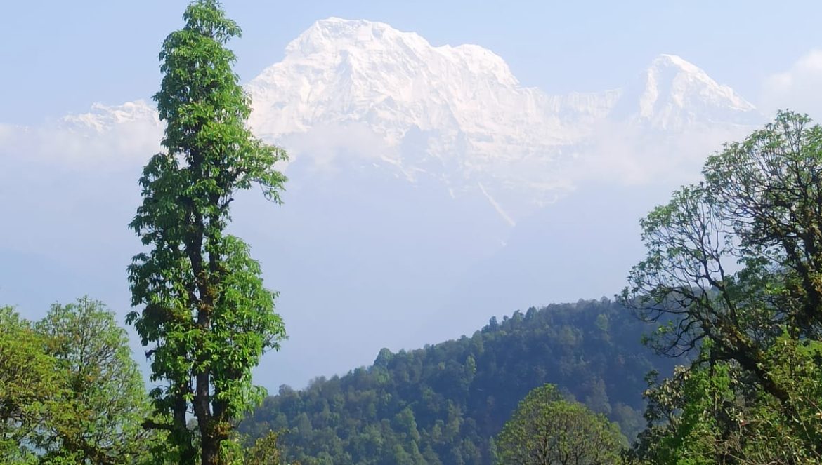 All About Mardi Himal Trek and Experiences