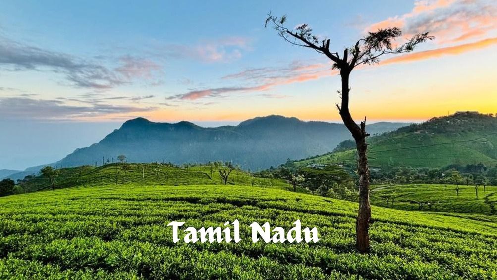 tamil nadu