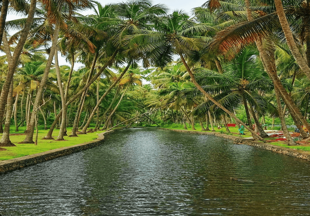 Bangalore to Alleppy