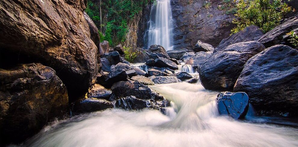 Bangalore to Wayanad