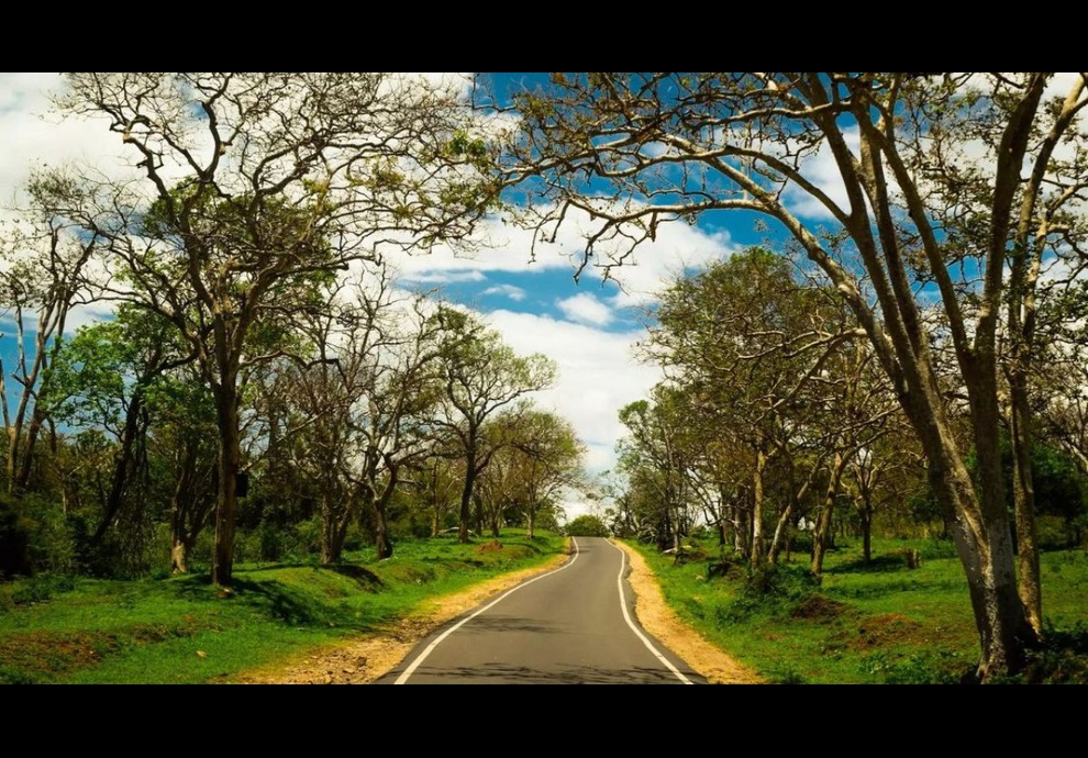 Bangalore to Masinagudi