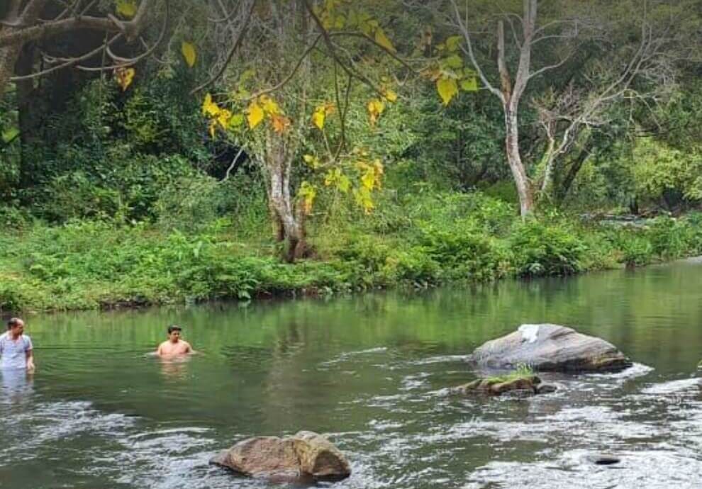 Bangalore to Mudumalai