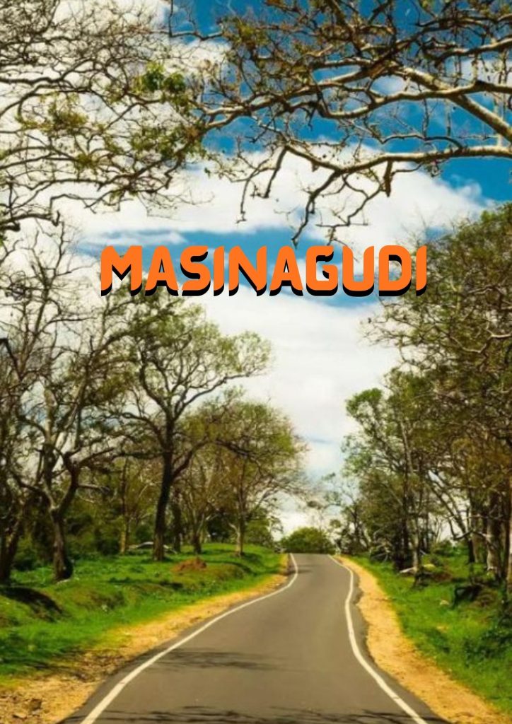 Bangalore to Masinagudi Tourbabari