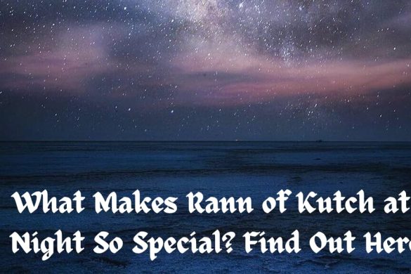 What Makes Rann of Kutch at Night So Special? Find Out Here