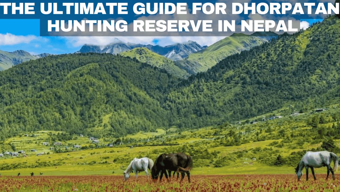 The Ultimate Guide for Dhorpatan Hunting Reserve in Nepal