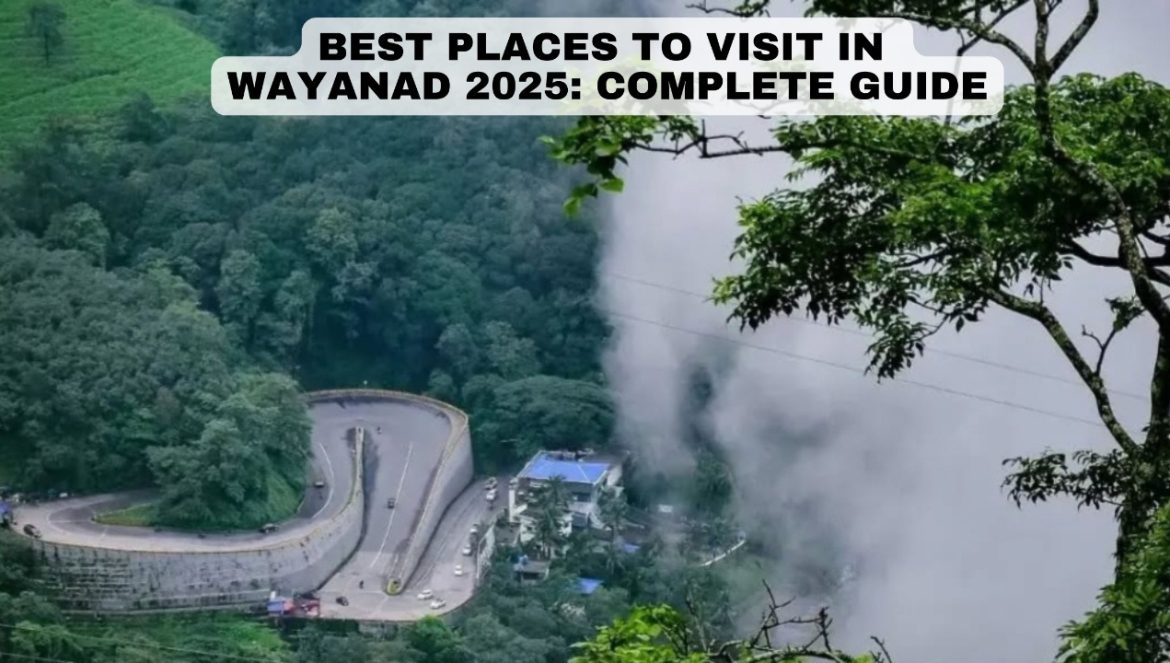 Best Places to Visit in Wayanad 2025: Complete Guide