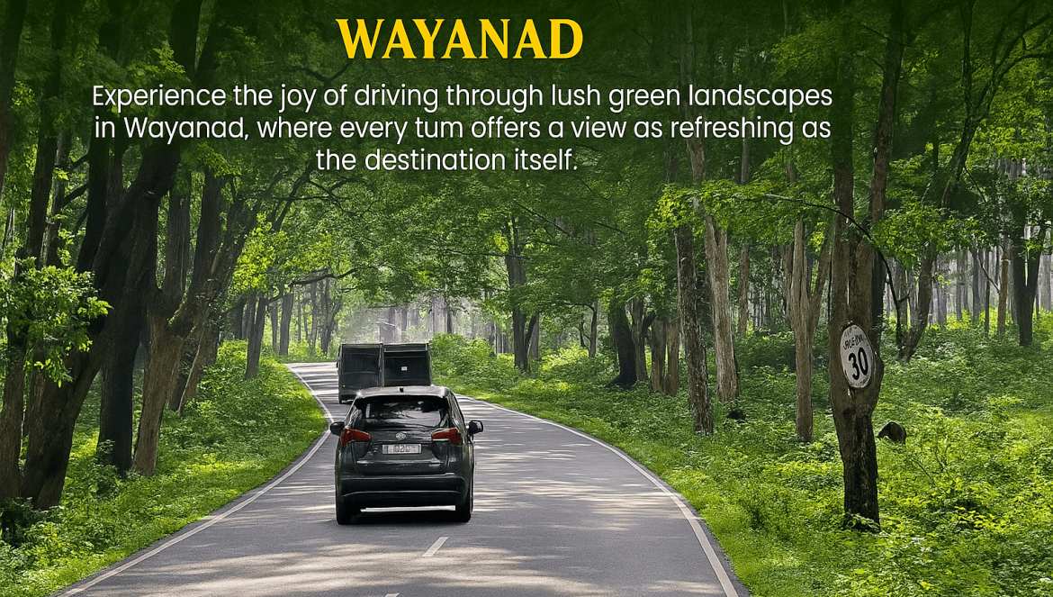 2025 Incredible Experiences on Bangalore to Wayanad Trip Package | Ultimate Guide by Tour Babari