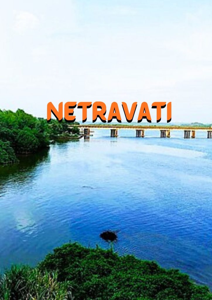 Bangalore to Netravati Tourbabari