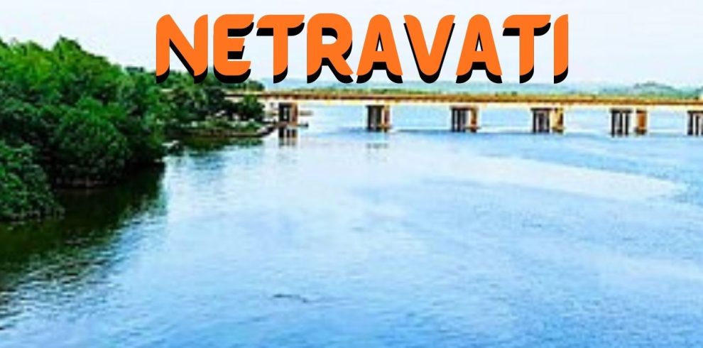 Bangalore to Netravati Tourbabari