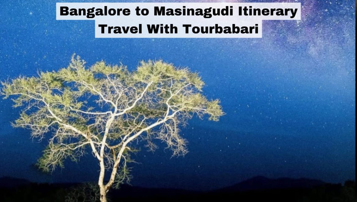 Bangalore to Masinagudi Itinerary | Travel With Tourbabari