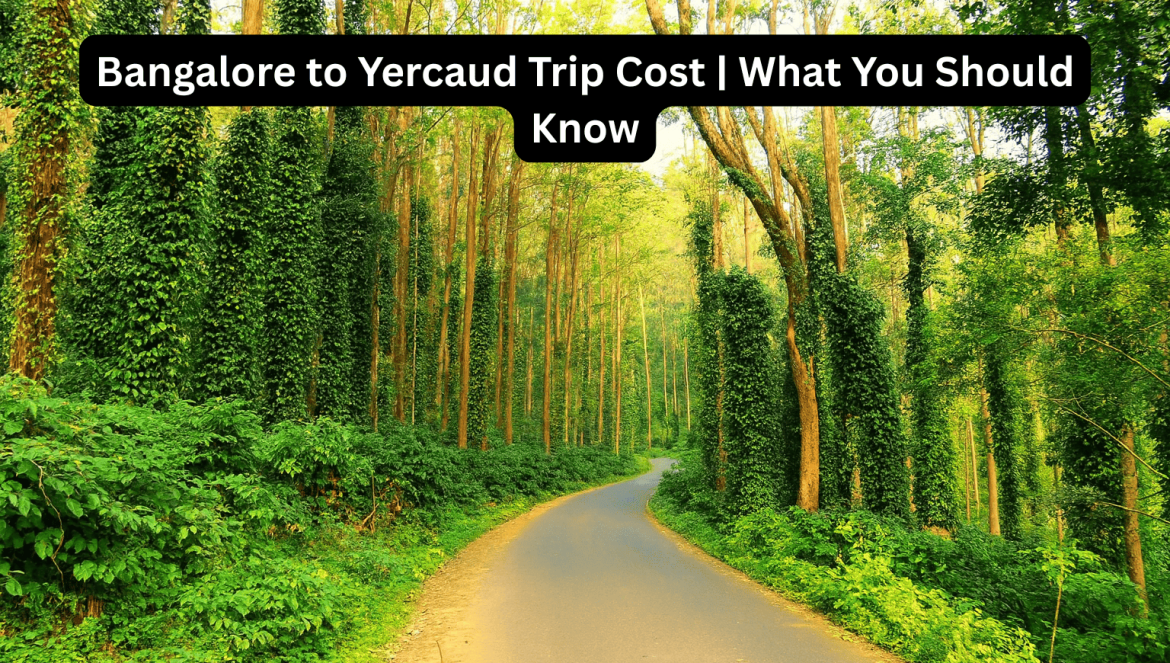 Bangalore to Yercaud Tour Package Price | Bangalore to Coorg Itinerary for 3 Days | Bangalore Tour Planner