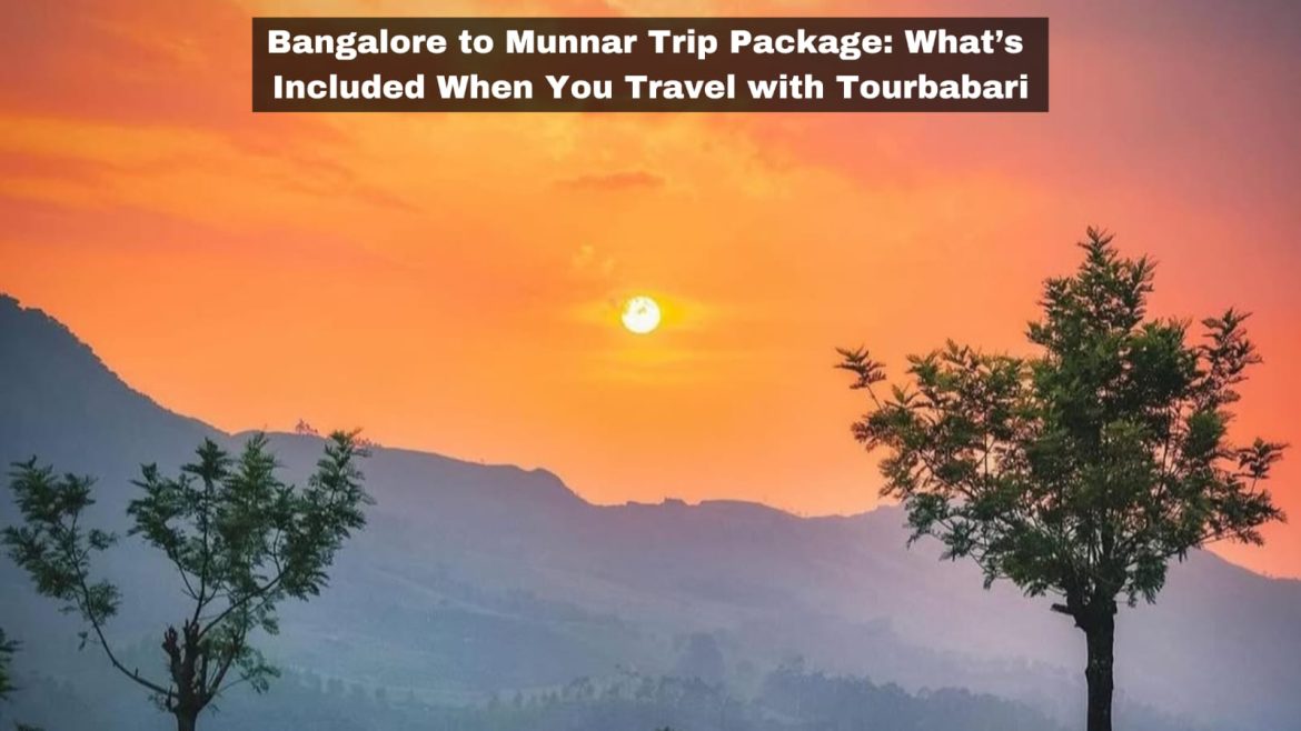 Bangalore to Munnar Trip Package: What’s Included When You Travel with Tour Babari