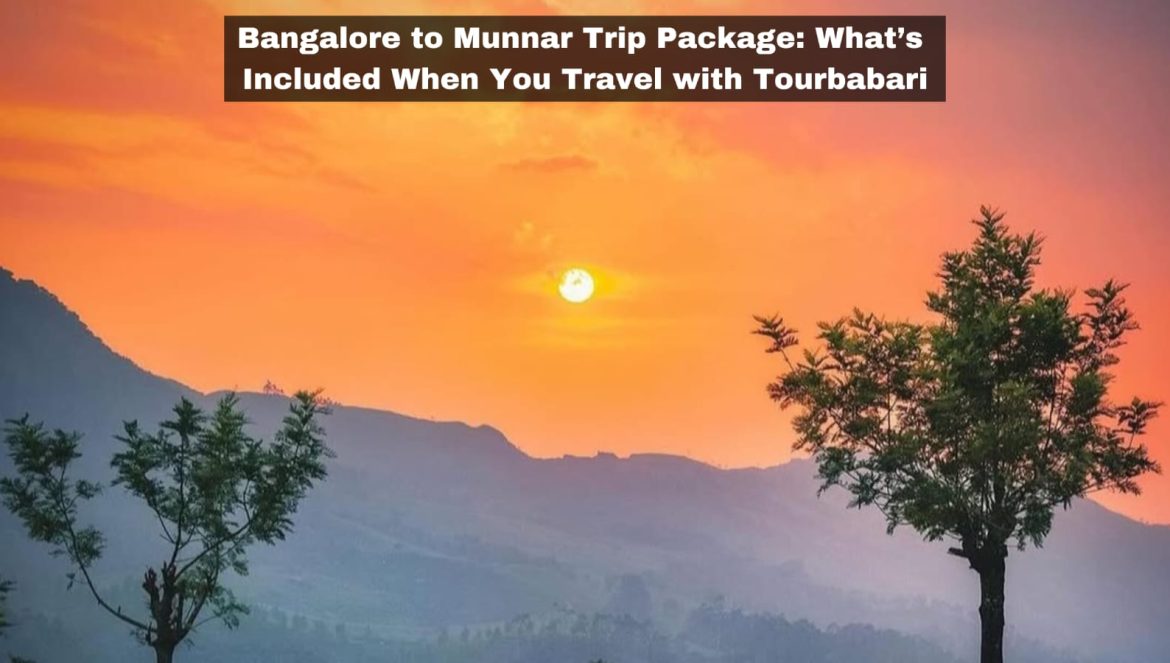 Bangalore to Munnar Trip Package: What’s Included When You Travel with Tourbabari
