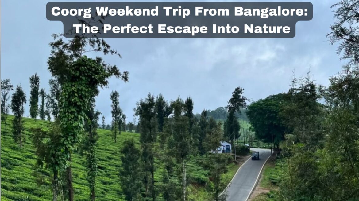 Coorg Weekend Trip From Bangalore: The Perfect Escape Into Nature