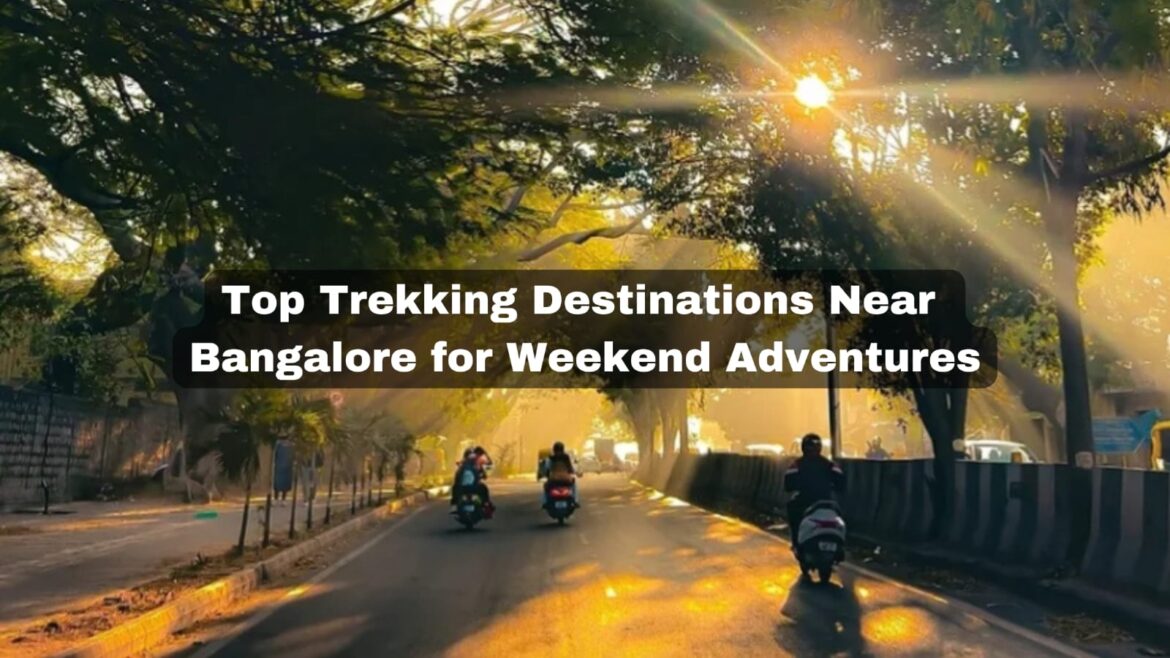 Top Trekking Destinations Near Bangalore for Weekend Adventures